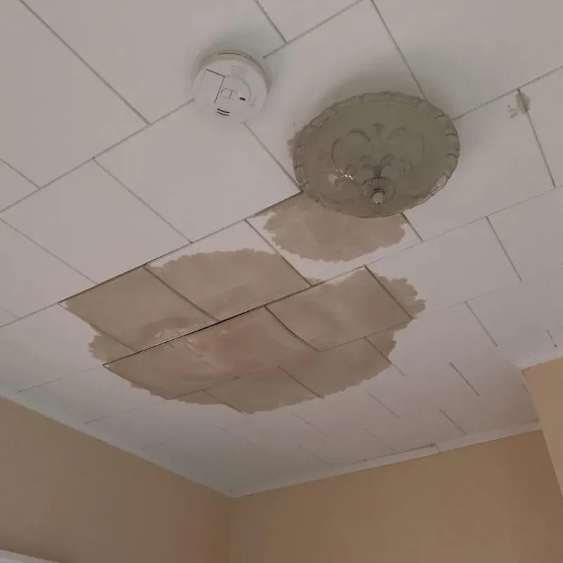 Ceiling Water Damage Repair in Reserve, NM