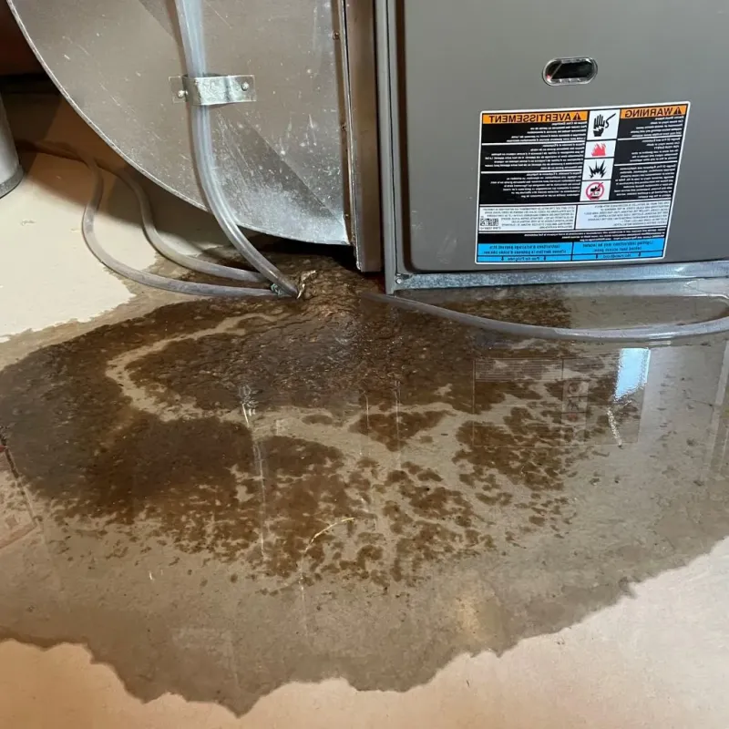 Pipe Burst and Leak Restoration in Reserve, NM