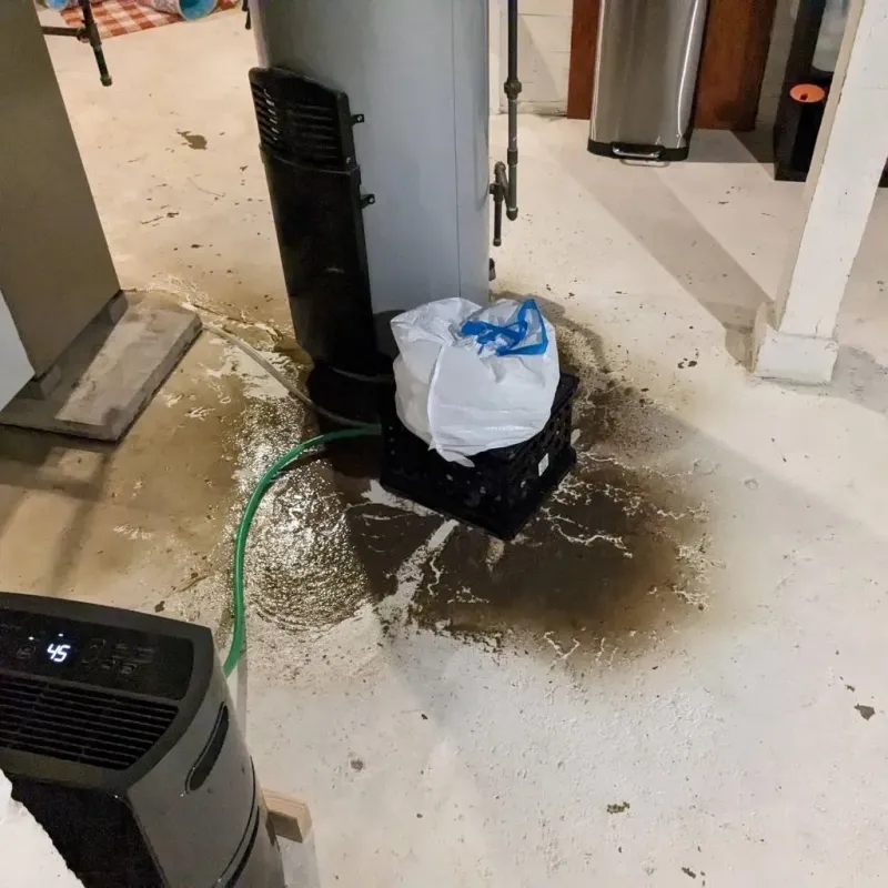 Sewage Backup Cleanup Service in Reserve, NM